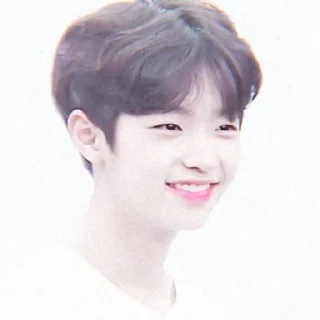 🐣 emoji dongpyo Telegram sticker 14 of 54