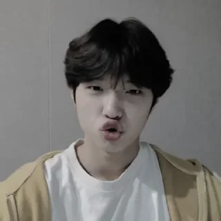 ⚠️ emoji ✶ dongpyo ; @lilbebekuromi !¡ Telegram sticker 6 of 35