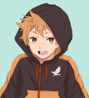 Sticker from Hinata Shoyo @sticker_anime_boy