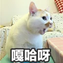 🙀 emoji 🍦 Telegram sticker 7 of 21