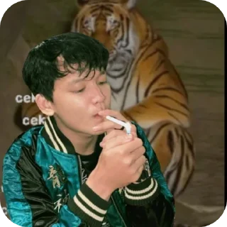 👍 emoji Ujang Smith's kang pack Telegram sticker 12 of 16