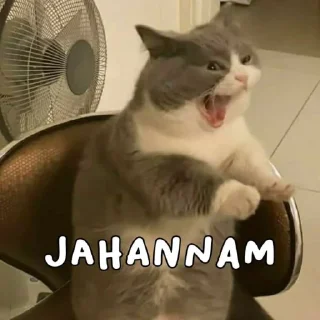 😭 emoji ajojing ala ala ajojing Telegram sticker 16 of 31