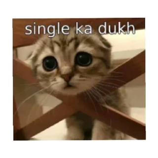 Sticker from RajPandit #SM