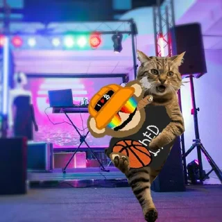 😂 emoji @Thief_Cattt $NAMI 2.0 Telegram sticker 18 of 40
