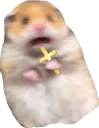 Sticker from cute hamsters