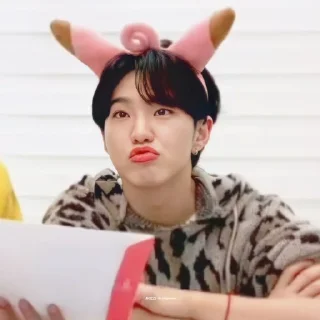 🐯 emoji KWON SOONYOUNG Telegram sticker 11 of 76