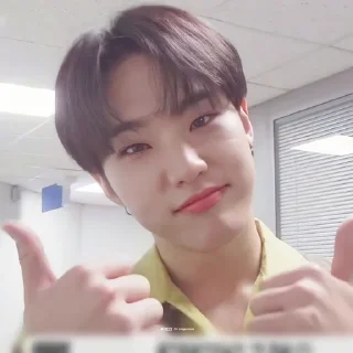 🐯 emoji KWON SOONYOUNG Telegram sticker 15 of 76