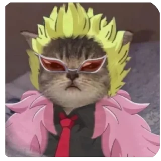 Sticker from AB cats