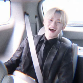 🐬 emoji soft chenle @stickernct Telegram sticker 20 of 20