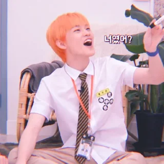🐬 emoji Soft Chenle by @stickernct Telegram sticker 7 of 43