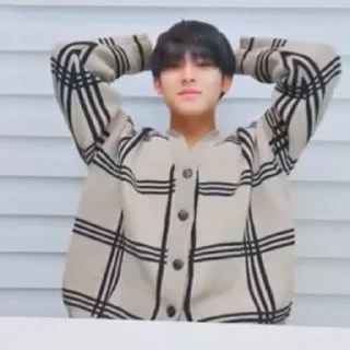 😎 emoji mingyu :: @stickernct Telegram sticker 6 of 60