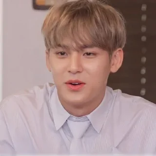 😎 emoji mingyu :: @stickernct Telegram sticker 13 of 60