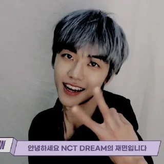 🤖 emoji jaemin @APLAEPEIDI Telegram sticker 20 of 60