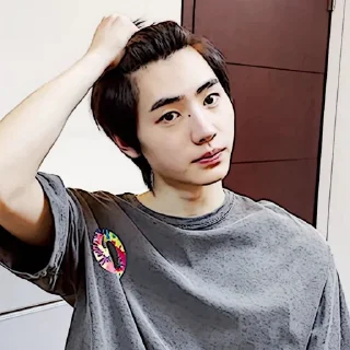 🧩 emoji sunghoon :: @gudangnyastikerrp Telegram sticker 21 of 32