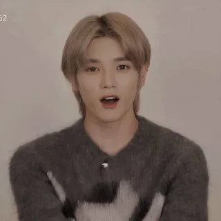🚫 emoji LEE TAEYONG @nawtella Telegram sticker 12 of 25