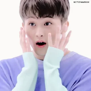 🚁 emoji @inumeowki , mark lee ◡̈ Telegram sticker 10 of 40