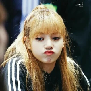 🥺 emoji Lisa •|| @lovelyrain0 🎀 Telegram sticker 24 of 35
