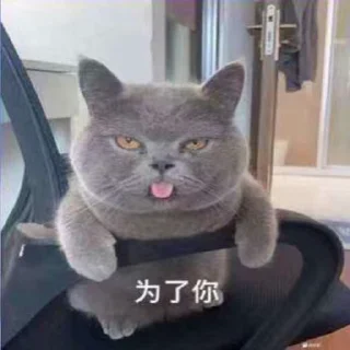 🥰 emoji 更多表情👉🏻 @sudabb777 Telegram sticker 2 of 50