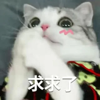 🙊 emoji o_O®泡芙 Telegram sticker 9 of 90
