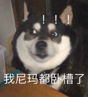 🙂 emoji o_O®陆号 Telegram sticker 19 of 120