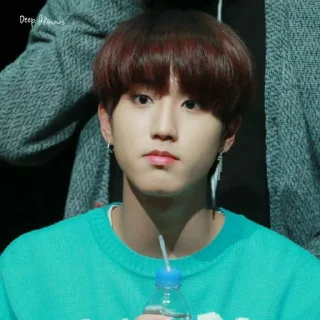 🥯 emoji -ˏ🌷: Hᥲᥒ jι᥉ᥙᥒg bᥡ @nahjisung Telegram sticker 17 of 114