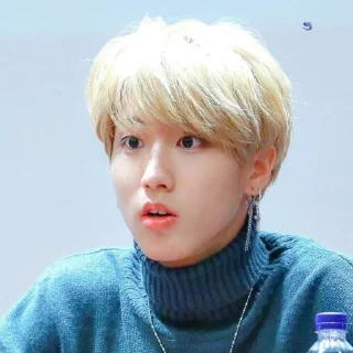 🥯 emoji -ˏ🌷: Hᥲᥒ jι᥉ᥙᥒg bᥡ @nahjisung Telegram sticker 23 of 114
