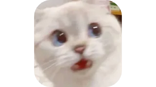 🐱 emoji ✗𖤍 𝑴𝒊𝒏𝒊𓂁 🐣 :: @bitch_uh Telegram sticker 7 of 115