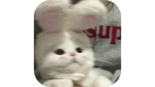 🐱 emoji ✗𖤍 𝑴𝒊𝒏𝒊𓂁 🐣 :: @bitch_uh Telegram sticker 13 of 115