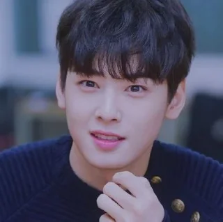 🤨 emoji Eunwoo soft pack Telegram sticker 8 of 27