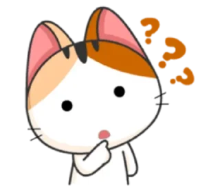 🐈 emoji cheerful kitten w/@sugarcunt Telegram sticker 21 of 120