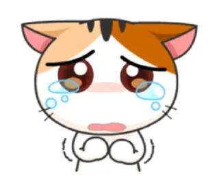 🐈 emoji cheerful kitten w/@sugarcunt Telegram sticker 8 of 120