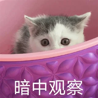 👀 emoji 福利精选@videosharesex Telegram sticker 9 of 30