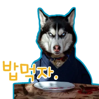 🐕‍🦺 emoji 🐶강아지단🐶 Telegram sticker 9 of 93