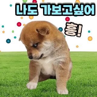 🐕‍🦺 emoji 🐶강아지단🐶 Telegram sticker 16 of 93