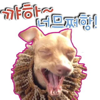 🐕‍🦺 emoji 🐶강아지단🐶 Telegram sticker 24 of 93