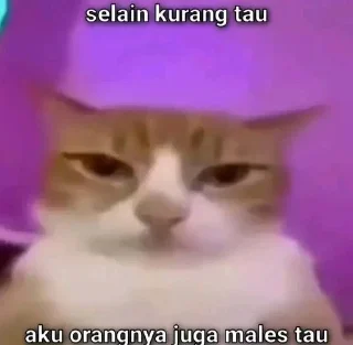 🌟 emoji Zz tidak jomok Telegram sticker 21 of 96
