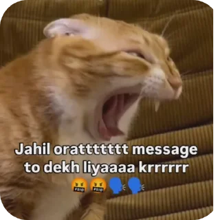 🐱 emoji L 's stickers Telegram sticker 7 of 58
