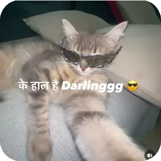 🐱 emoji L 's stickers Telegram sticker 17 of 58