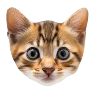 🙂 emoji JBot's Stickers   @unofficial_telegramBD Telegram sticker 12 of 58