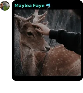 🐬 emoji Maylea faye Telegram sticker 6 of 25