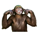 🙉 emoji Santai Telegram sticker 21 of 110