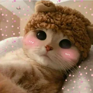😺 emoji Cute Cats Telegram sticker 20 of 64