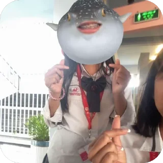 🫥 emoji Smile Telegram sticker 13 of 17