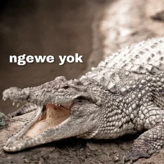 🐊 emoji Peliharaan Drexon - By @FVCK00PRIDE Telegram sticker 13 of 15