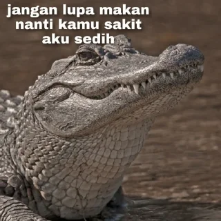 🐊 emoji Peliharaan Drexon - By @FVCK00PRIDE Telegram sticker 6 of 15