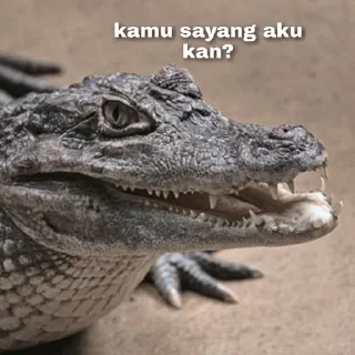 🐊 emoji Peliharaan Drexon - By @FVCK00PRIDE Telegram sticker 5 of 15