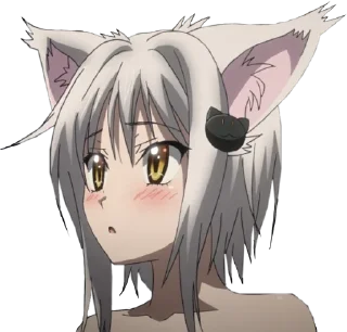 🌑 emoji ネコ @otakuzdream Telegram sticker 22 of 56