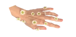 ☘ emoji 𝓕awnBerry ✧ — @inmcjhome Telegram sticker 13 of 20