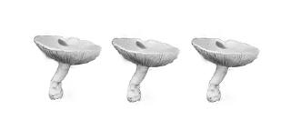 🎬 emoji 𝔅oldterfly 📓 — @inmcjhome Telegram sticker 6 of 20