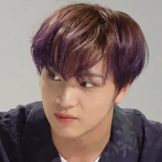 🐻 emoji haechan @APLAEPEIDI Telegram sticker 12 of 31